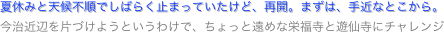 夏休みと天候不順でしばらく止まっていたけど、再開。まずは、手近なとこから。
今治近辺を片づけようというわけで、ちょっと遠めな栄福寺と遊仙寺にチャレンジ